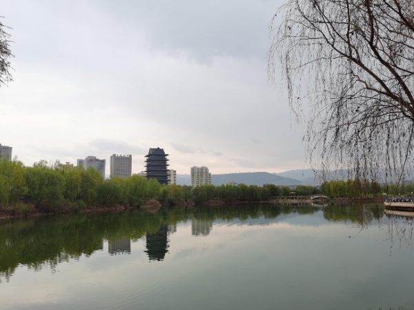 蘭州銀灘黃河濕地公園。新甘肅·甘肅日報(bào)記者杜雪琴攝.jpg